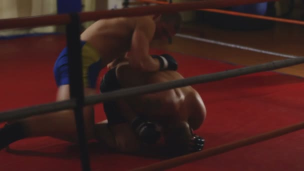 Due uomini che combattono sul ring — Video Stock