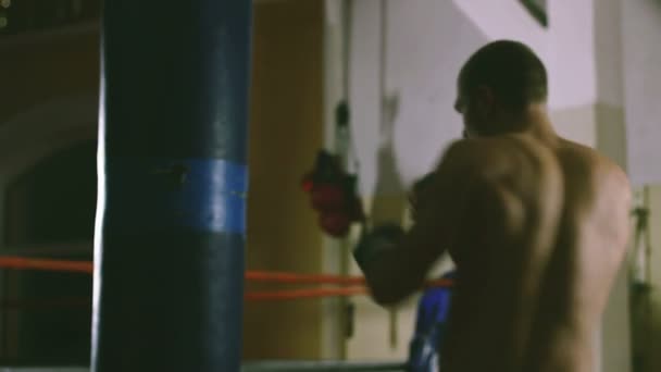 Mladý boxer vlaky na boxovací pytel — Stock video