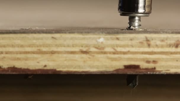 Screwing bolt into lumber — Stock Video