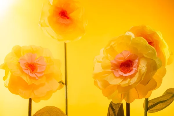 Big yellow flowers — Stock Photo, Image