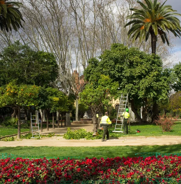 Deux travailleurs avec leader dans un parc — Photo