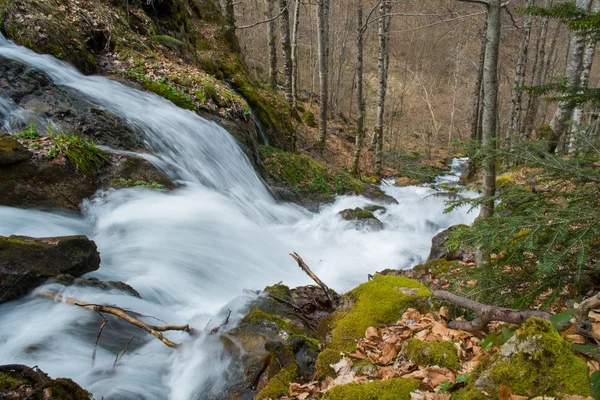 Schneller Fluss in den Bergen — Stockfoto