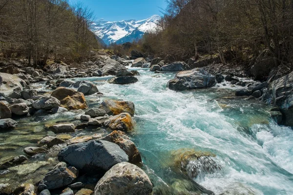 Pequeno rio rápido na floresta de montanha — Fotografia de Stock