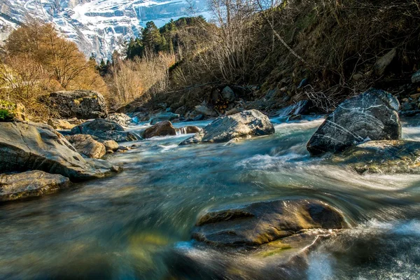 Petite rivière rapide dans la forêt de montagne — Photo