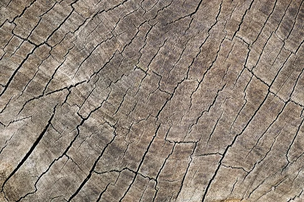 Cracked wooden texture background — Stock Photo, Image