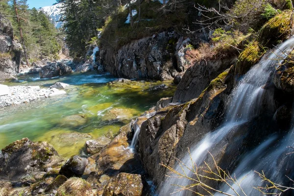 Snabb floden i bergskog — Stockfoto