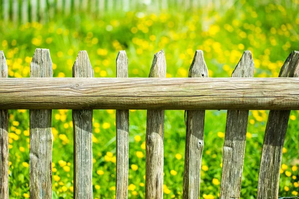 Recinzione in legno con prato dietro di esso — Foto Stock