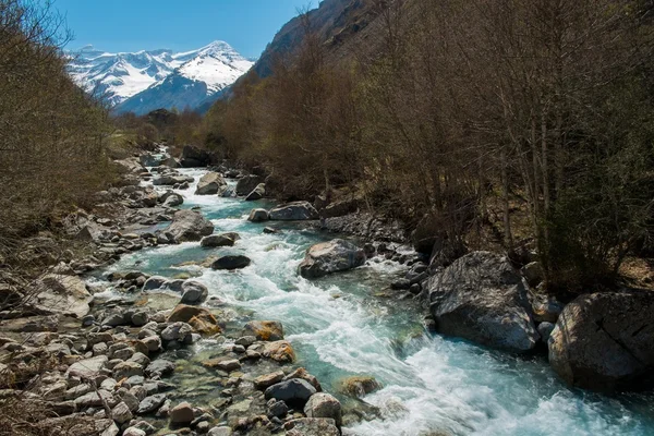 Snabb floden i bergskog — Stockfoto