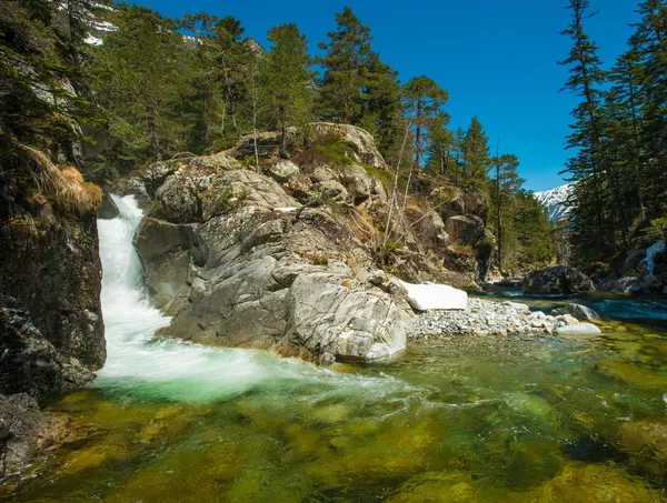 : Rio rápido na floresta de montanha — Fotografia de Stock