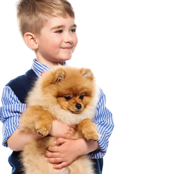 Pequeno menino feliz segurando spitz — Fotografia de Stock