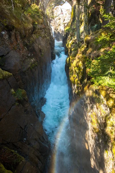 Snabb floden i bergskog — Stockfoto