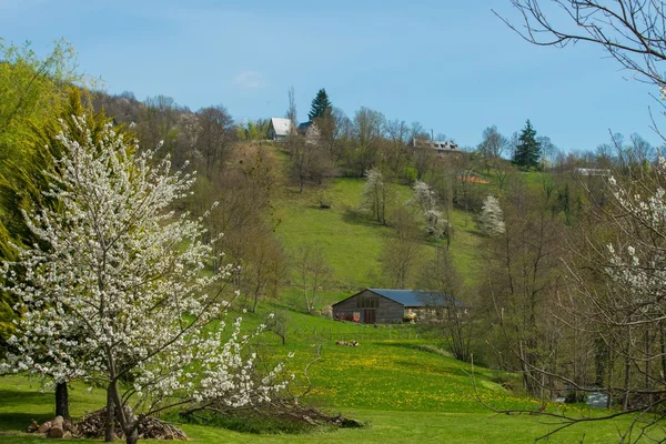 Casas rurales en una colina en un hermoso paisaje — Foto de Stock