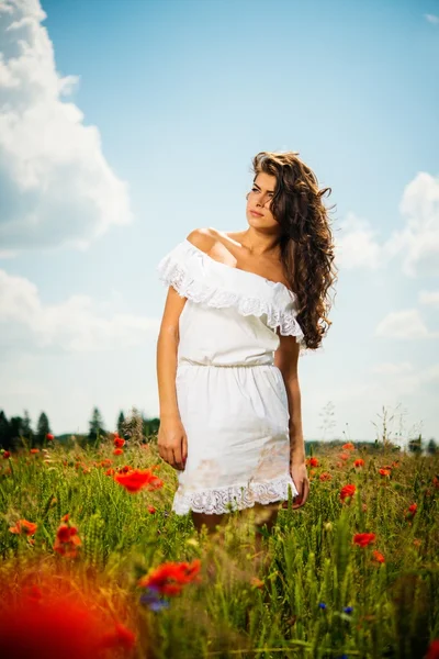 Beautiful girl in a field — Stock Photo, Image