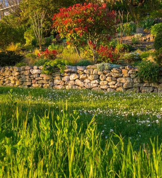 Vacker trädgård — Stockfoto