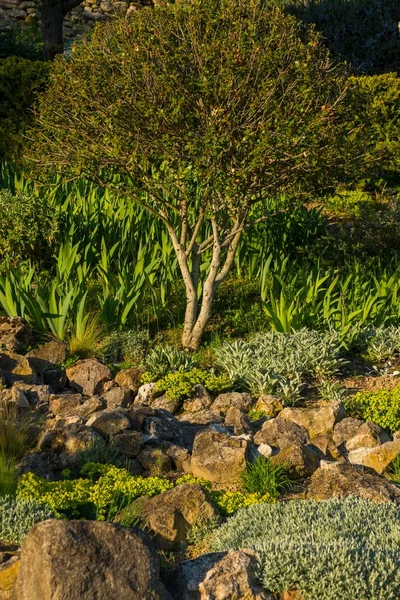 Schöner Garten — Stockfoto