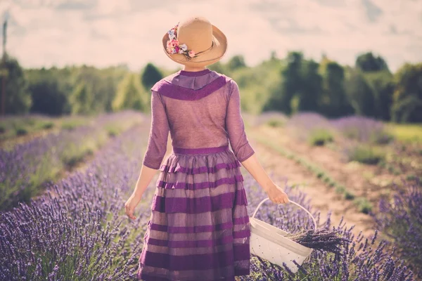 Donna in campo lavanda — Foto Stock