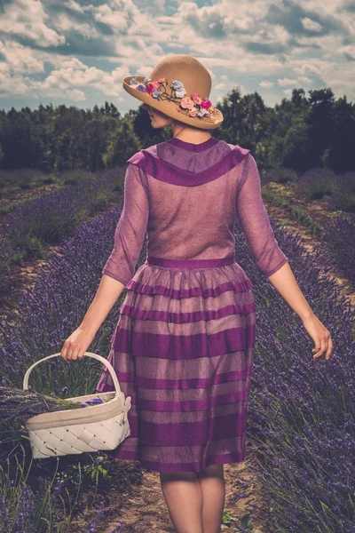 薰衣草领域的妇女 — 图库照片