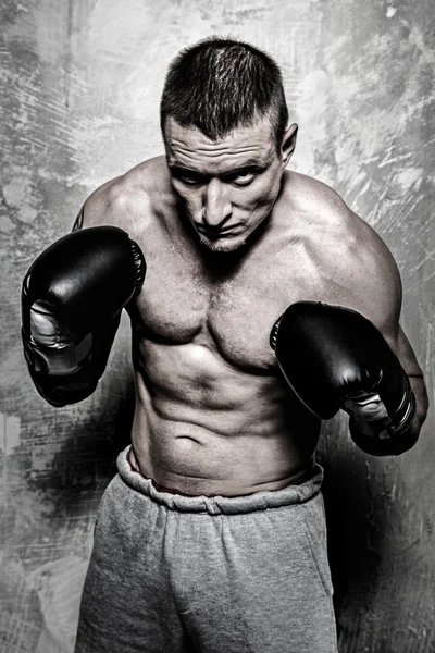 Sporty man in boxing gloves Stock Photo