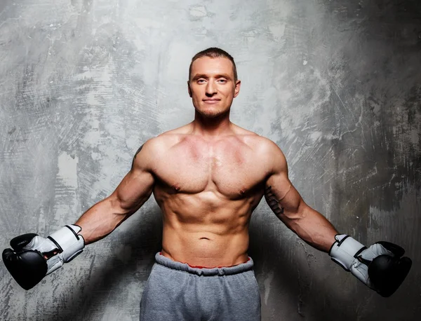 Young boxer — Stock Photo, Image