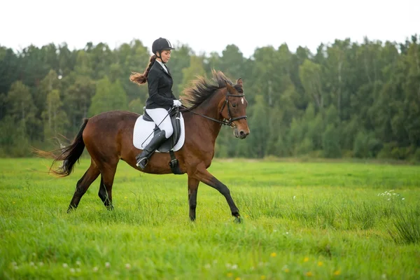 Flicka med häst — Stockfoto