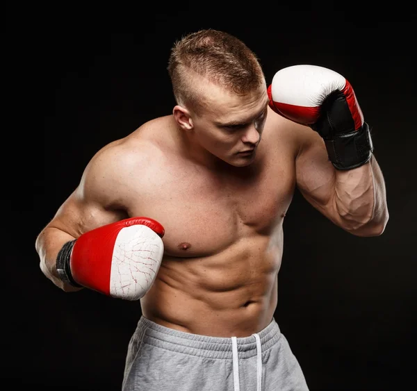 Handsome muscular young man wearing boxing gloves Stock Image