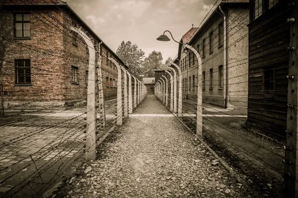 Cerca elétrica no antigo campo de concentração nazista Auschwitz I, Polônia — Fotografia de Stock