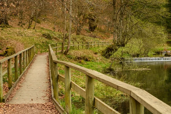 Gehweg mit Holzschienen am Fluss in einem herbstlichen Park — Stockfoto