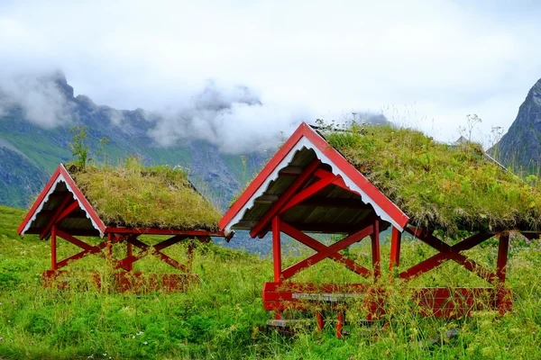 Traditional norwegian arbour standing in a lush — Stock Photo, Image
