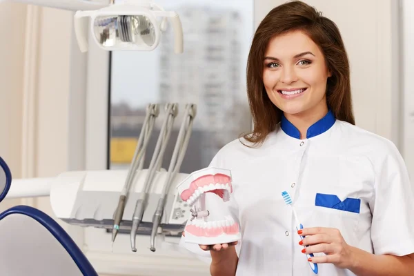Young beautiful brunette woman dentist with plastic jaw imitation and toothbrush at dentist's surgery — Stock Photo, Image