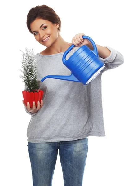 Beautiful brunette woman watering plant in red pot — Stock Photo, Image