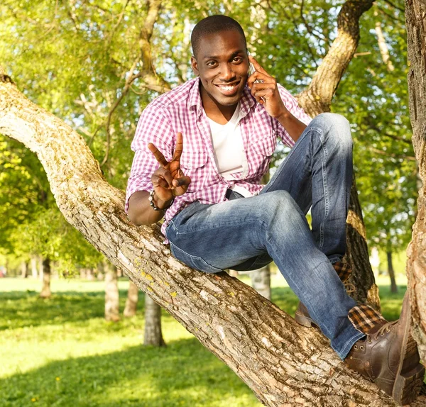 Giovane afroamericano sorridente seduto su un albero nel parco con cellulare — Foto Stock