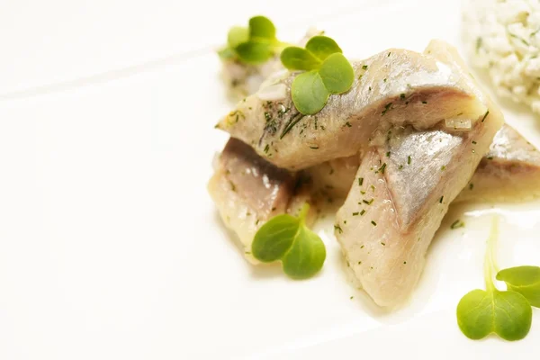 Rebanadas de pescado con requesón en un plato blanco —  Fotos de Stock