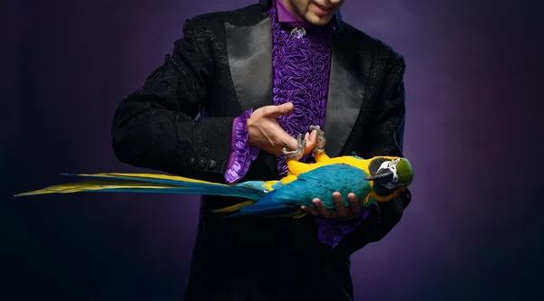 Młody przystojny brunetka magik mężczyzna w scenie kostium z jego papuga przeszkoleni — Zdjęcie stockowe