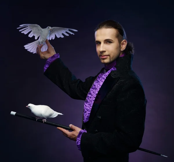 Joven guapo mago morena hombre en traje de escenario con sus palomas blancas entrenadas — Foto de Stock