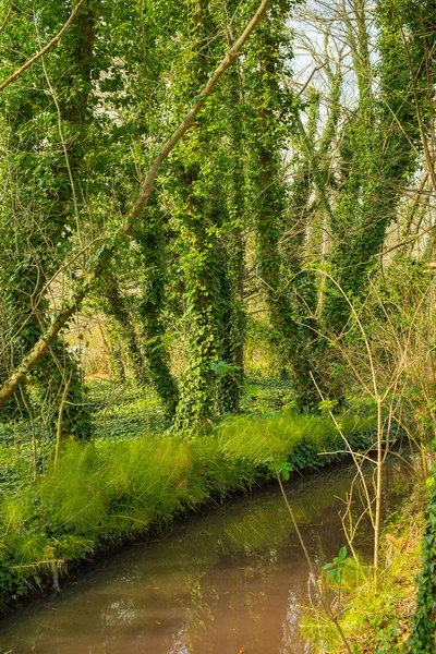 Fossé avec de l'eau dans un parc — Photo