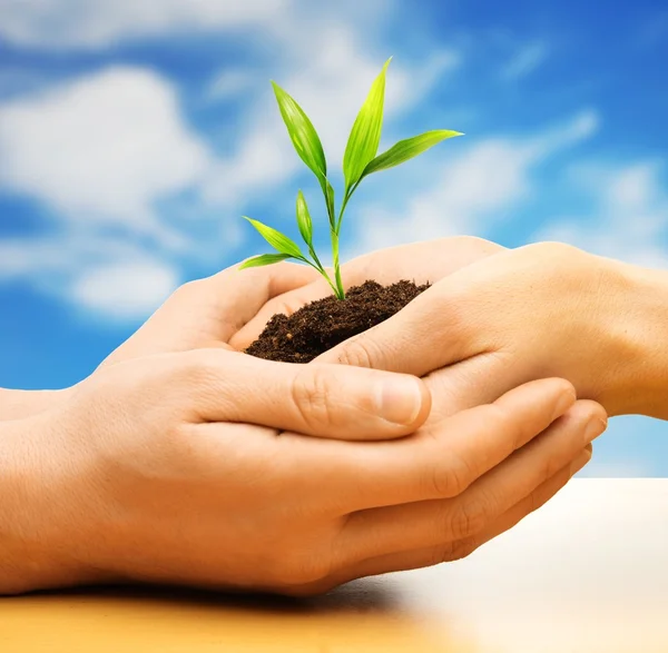 Human hands holding earth with plant sprout against blue sky Royalty Free Stock Photos