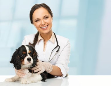 Young positive brunette veterinary woman with spaniel  clipart