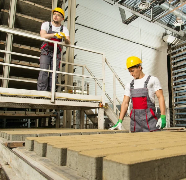 Lavoratore e caposquadra in una fabbrica con cappelli di sicurezza — Foto Stock