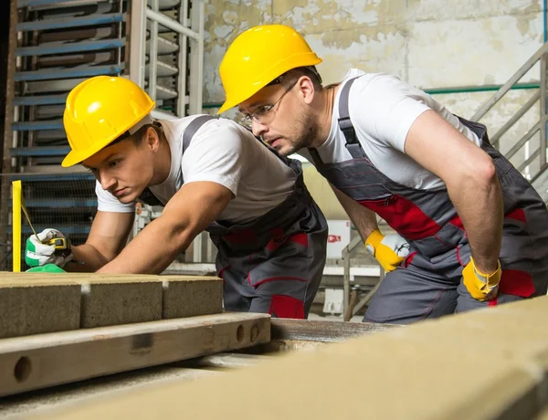 Worker and foreman in a safety hats performing quality check on a factory — Stock Photo, Image