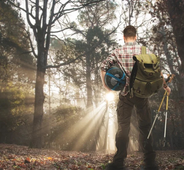 Viaggiatore con zaino, bastoni da trekking e sacco a pelo nella foresta autunnale — Foto Stock