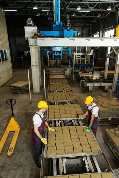 Worker and foreman in a safety hats performing quality check on a factory — Stock Photo, Image