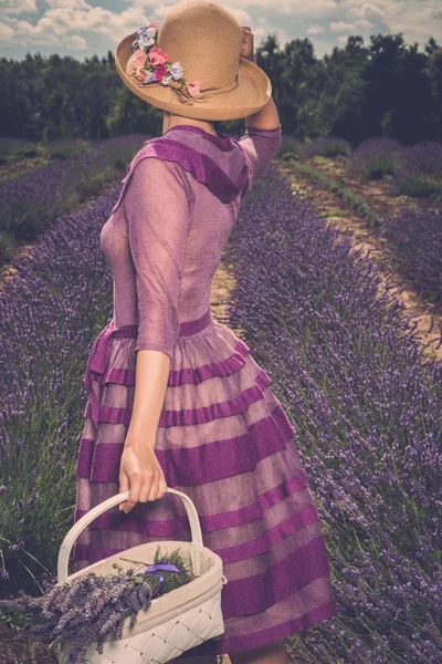 Donna in abito viola e cappello con cesto in campo di lavanda — Foto Stock