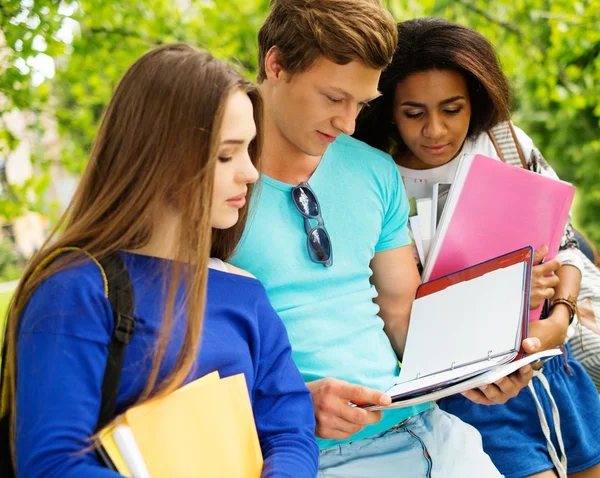 Groep multi etnische studenten voorbereiden op laatste examens in een stadspark — Stockfoto