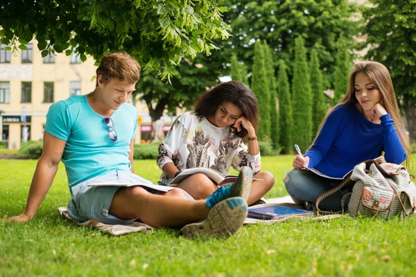 Groupe d'étudiants multiethniques se préparant aux examens finaux dans un parc municipal — Photo