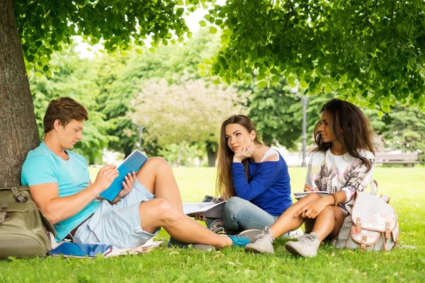 Gruppe multiethnischer Studenten bereitet sich in einem Stadtpark auf Abschlussprüfungen vor — Stockfoto