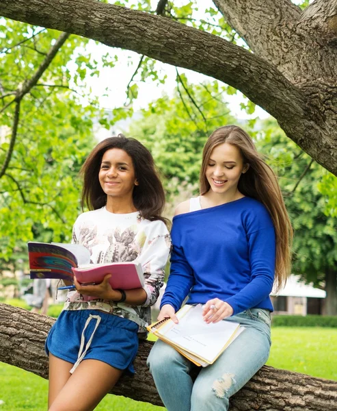 Multi estudantes meninas étnicas em um parque da cidade — Fotografia de Stock