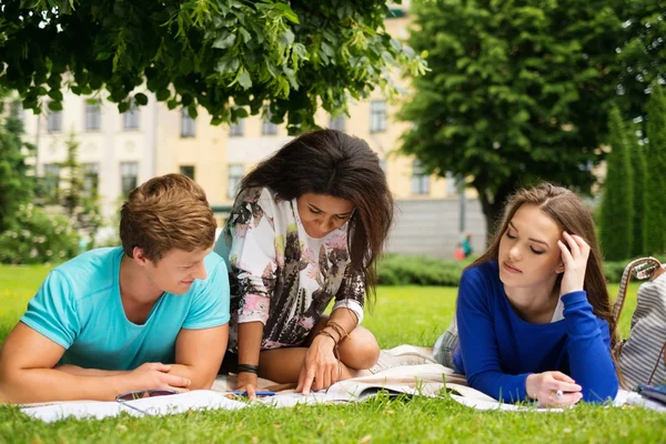 Grupy etniczne studentów multi w parku — Zdjęcie stockowe