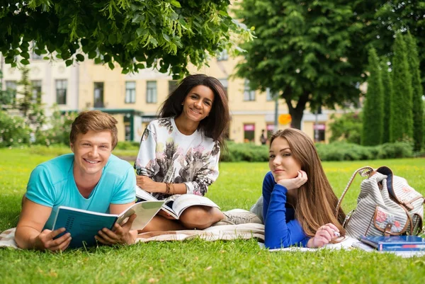 Grupo de estudiantes multiétnicos en un parque urbano — Foto de Stock