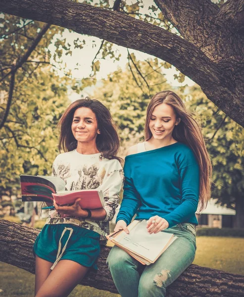 Multi ethnic girls students in a city park — Stock Photo, Image