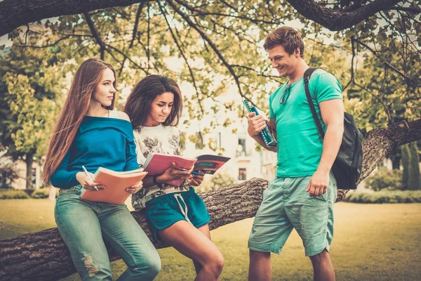 Grupo de estudantes multi étnicos em um parque da cidade — Fotografia de Stock